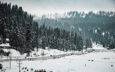 Discover the Enchanting Kashmir: Top Things to Do in the Paradise Valley